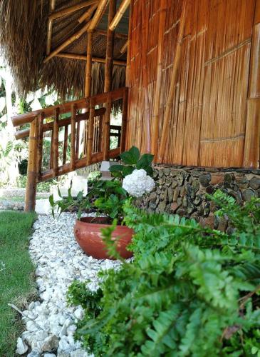 Фотография мини отеля Ecohabs Bamboo Tayrona