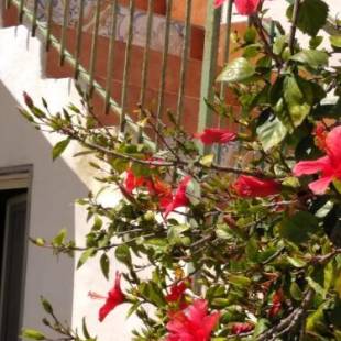 Фотографии гостевого дома
CASALE HIBISCUS