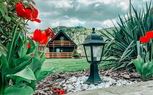 Фотография гостевого дома Eko Domek w górach