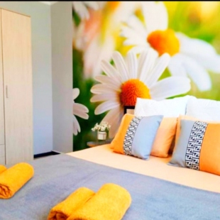 Фотография квартиры Квартира студия Pogostim