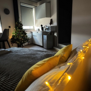 Фотография квартиры Апартаменты Дом Искусств