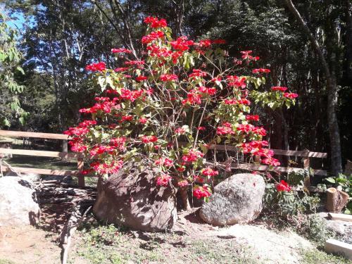 Фотографии гостевого дома 
            Rancho Pedra Preta