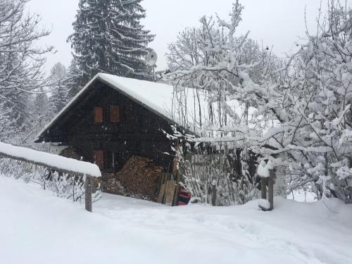 Фотографии гостевого дома 
            B&B La casa di Masha e Isabel Bio Welness