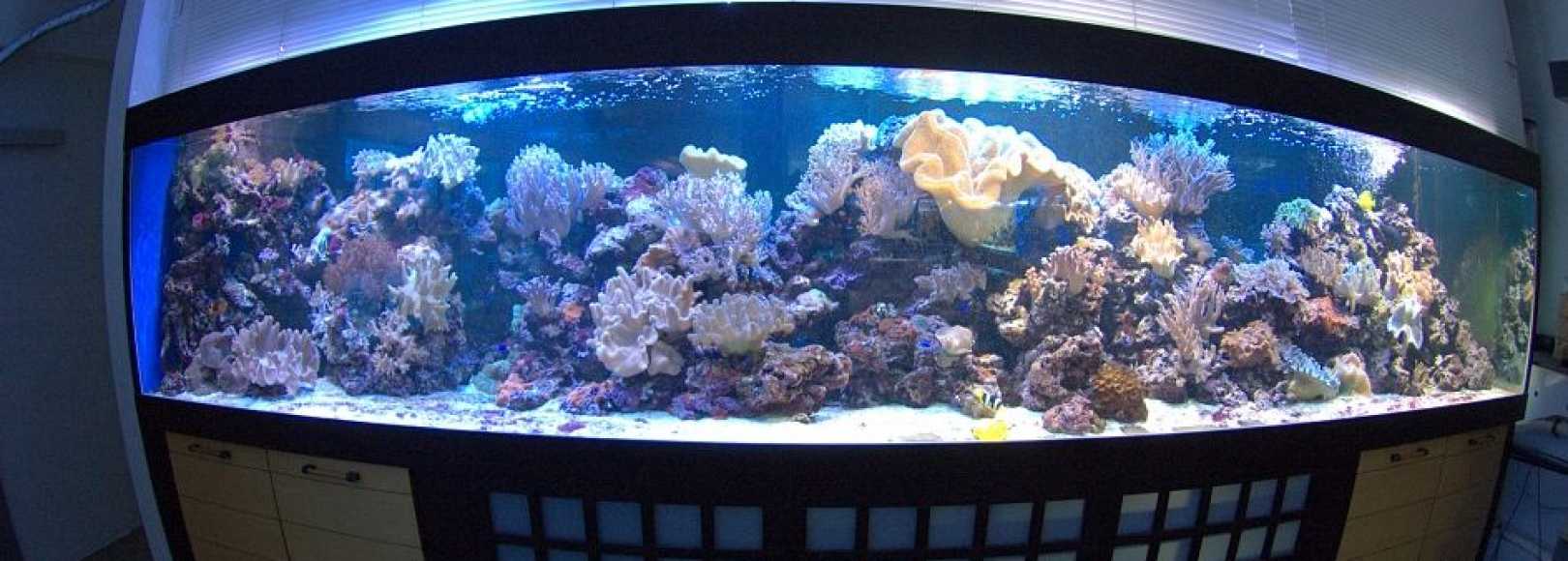 Фотография музея Морской аквариум - Океанариум