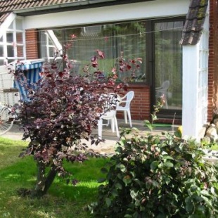 Фотография гостевого дома Sonneneck