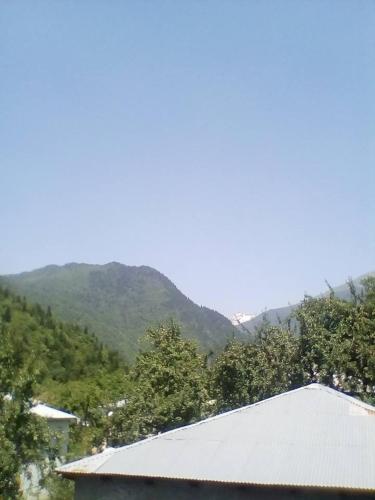 Фотография гостевого дома Guest House Lentekhi