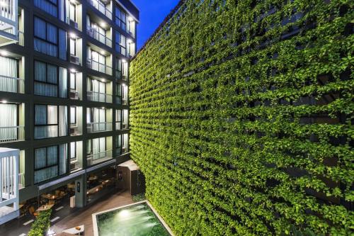 Фотография гостиницы Cross Vibe Chiang Mai Decem - formerly X2 Vibe Chiang Mai Decem