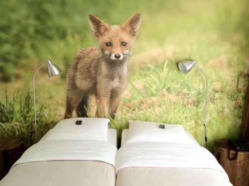 Фотография гостиницы Hajé Restaurant de Aalscholver