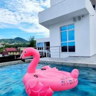 Фотография гостиницы White House