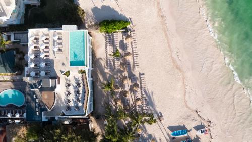 Фотографии гостиницы
whala!bávaro - All Inclusive