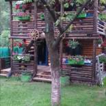 Фотография гостевого дома Pensiunea Anita