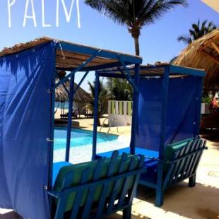 Фотографии гостиницы
Condominio Agave del Mar