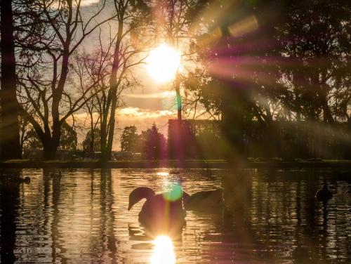 Фотография кемпинга Ashburton Holiday Park