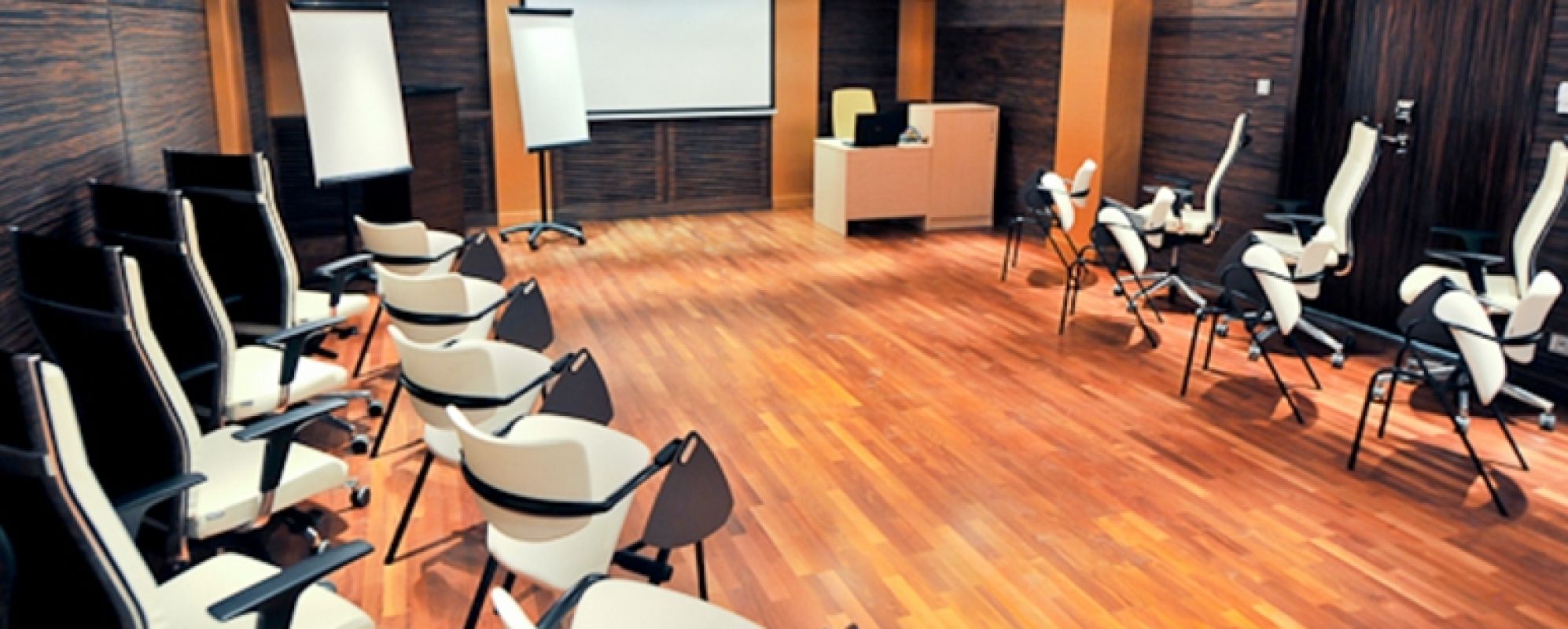 Фотографии конференц-зала САГААН ДАЛИ