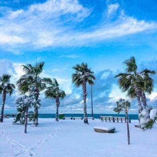 Фотография гостиницы Hotel Orbi Towers