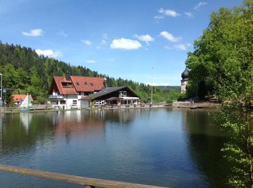Фотография гостевого дома Ferienwohnungen & Apartments am Bergsee