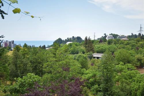 Фотография гостевого дома MIRZA HOUSE