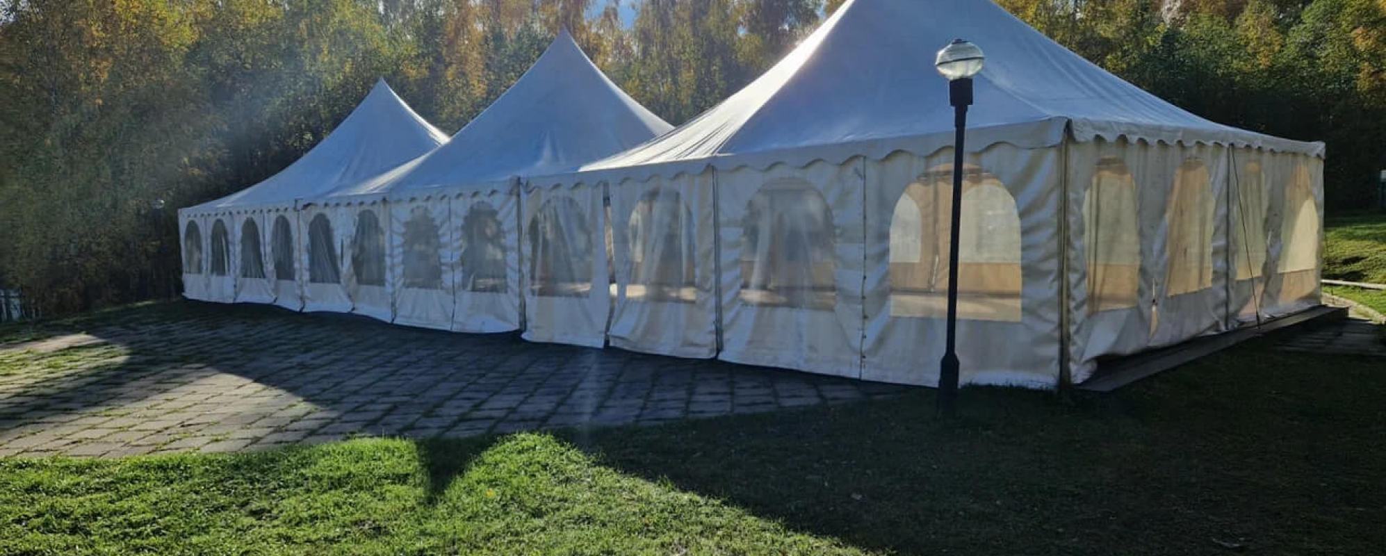 Фотографии летней террасы Шатер на берегу Чудный лебедь