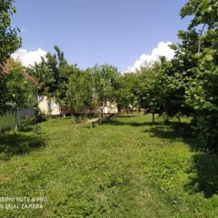 Фотография гостевого дома Elsen Home