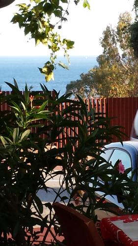 Фотография гостиницы Hotel Le Patio