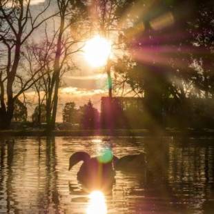 Фотографии кемпинга
Ashburton Holiday Park