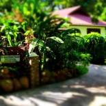 Фотография мини отеля Buisson Guesthouse