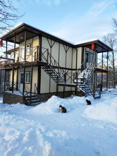 Фотографии гостевого дома
Cолнечный Ветер