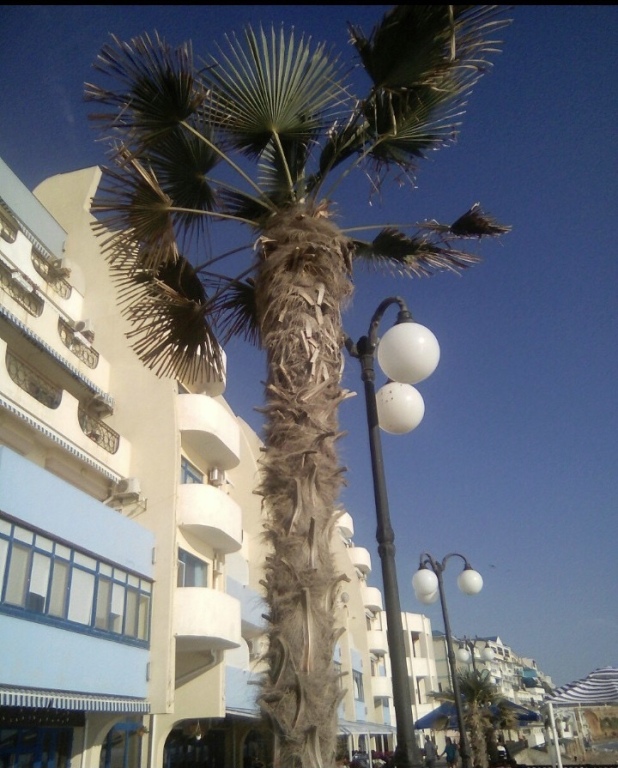 Фотография квартиры Апартаменты Наш Парус