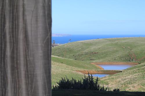 Фотография мини отеля Coastal Lodge