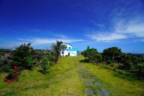 Фотография гостиницы Hotel Amor