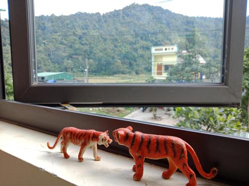 Фотография гостиницы Ha Giang Wings Bungalow