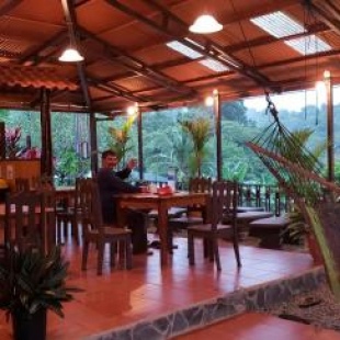 Фотография гостиницы Cabinas Pura Vida Bed & Breakfast