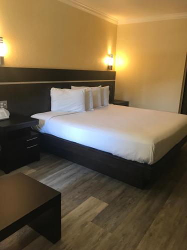 Фотография гостиницы Country Inn Sonora