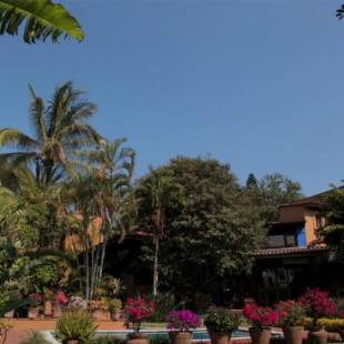 Фотографии гостиницы
Orchidelirium Casa Hotel & Salud Estética