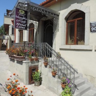 Фотография гостиницы Lotus