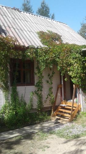 Фотография гостевого дома На Сергеевской, 16