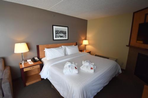 Фотография гостиницы Canad Inns Destination Centre Brandon