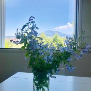 Фотографии гостевого дома
La Finestra Sull'Etna