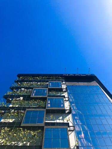 Фотография гостиницы Naalt Hotel Joinville