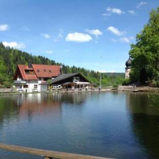 Фотографии гостевого дома
Ferienwohnungen & Apartments am Bergsee