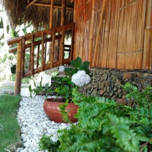 Фотография мини отеля Ecohabs Bamboo Tayrona