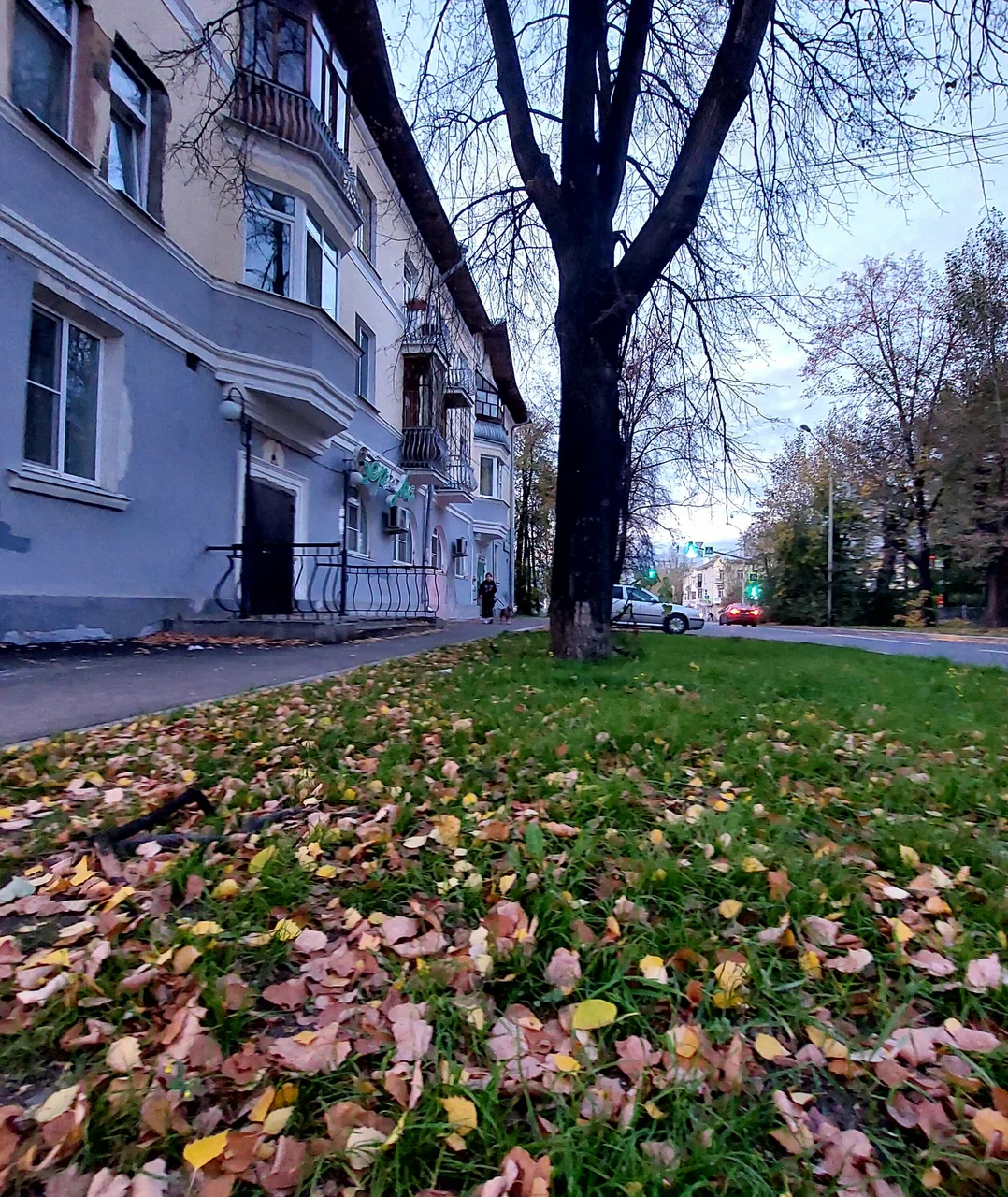 Фотография мини отеля СмартОтель САКВОЯЖЪ