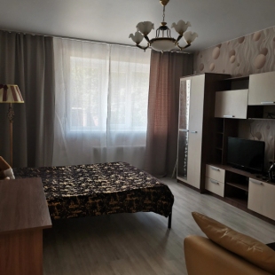 Фотография квартиры Квартира Уютная квартира в центре Воронежа