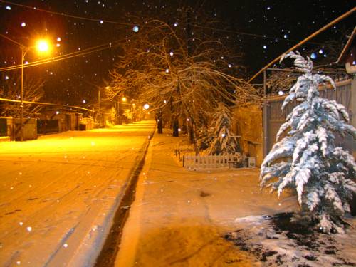 Фотография гостевого дома Savanna Guest House