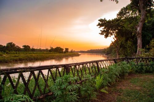 Фотография гостиницы Chitwan Riverside Resort