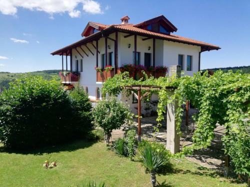 Фотография гостевого дома Guest House Diabora