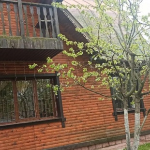 Фотография Коттеджа Дом на озере