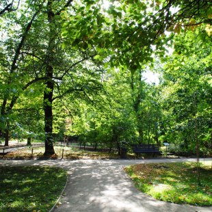 Фотография Ботанический сад МГУ Аптекарский огород