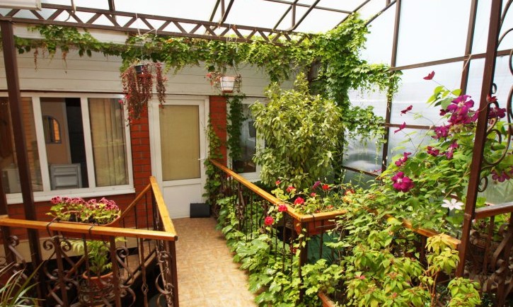 Фотография гостевого дома Алексина