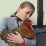 Фотография мини отеля Havelapartments